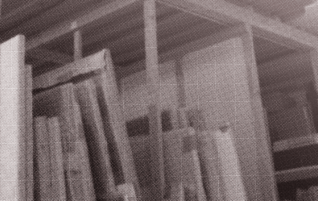 Mentorship and support